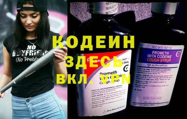 шишки Алексин