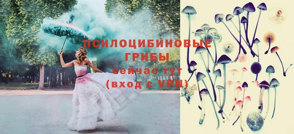 спайс Алзамай