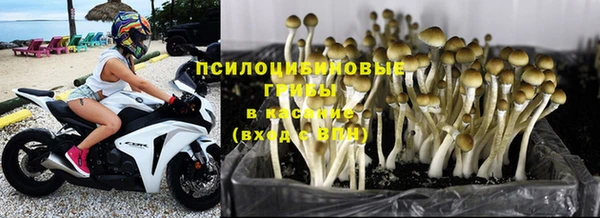 шишки Алексин