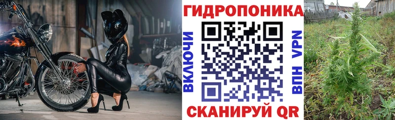наркота  Новоаннинский  МАРИХУАНА тримм 